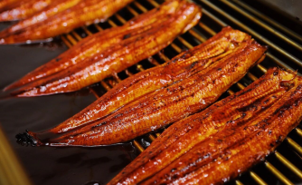 2026鳗年度前五个月烤鳗进口总量达7463吨，居近五年第二高位